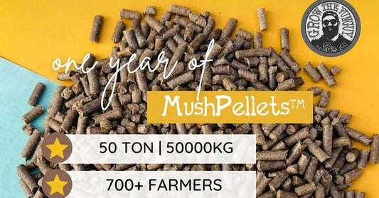Mushroom-Magic-with-MushPellets-Grow-Learn-and-Enjoy growthefunguy