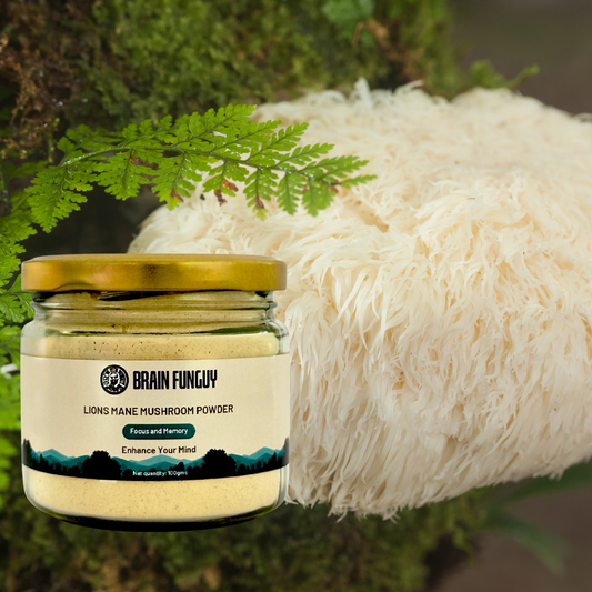 Organic Lion's Mane Powder - | Premium Quality, Brain-Boosting Superfood | Grown in India
