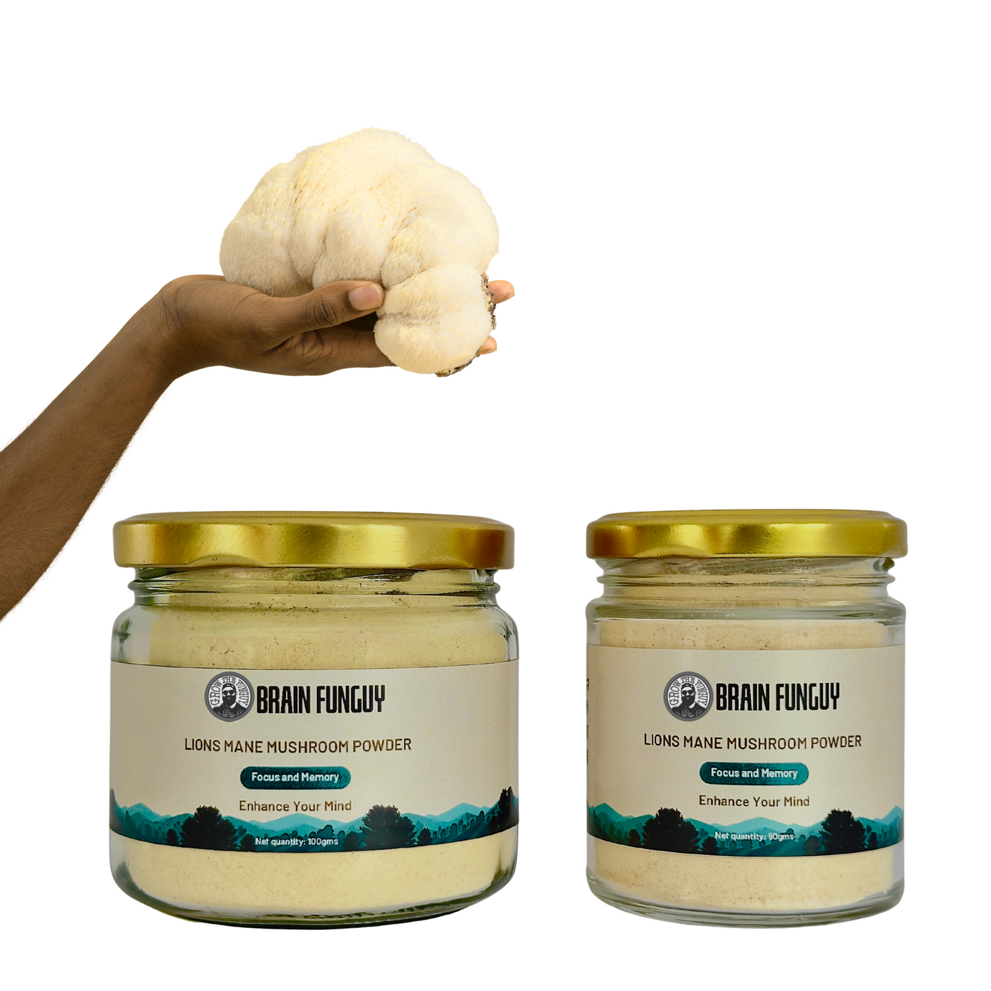 Healthy Mushroom Powder Collection