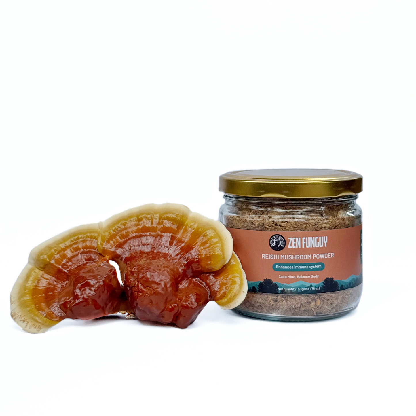 Healthy Mushroom Powder Collection