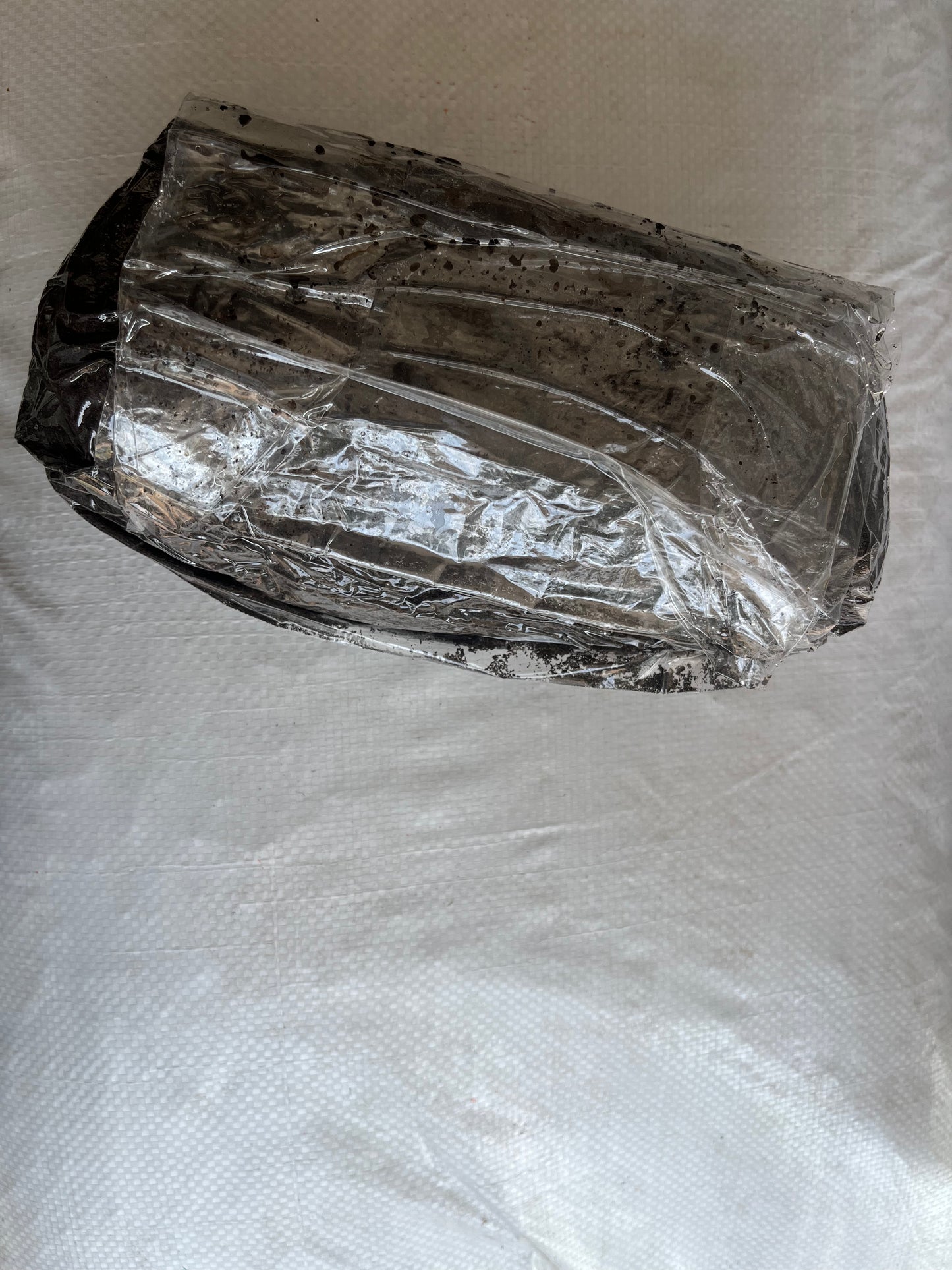 Casing Soil 1 KG ( a top layer applied to mushroom compost to trigger and regulate mushroom fruiting )