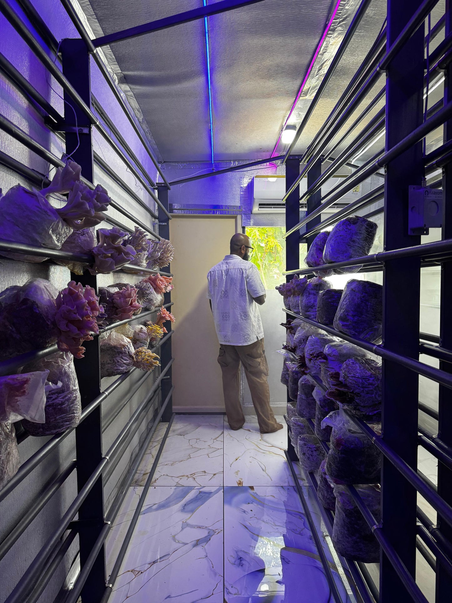 Fully Automated Mushroom Container Farm