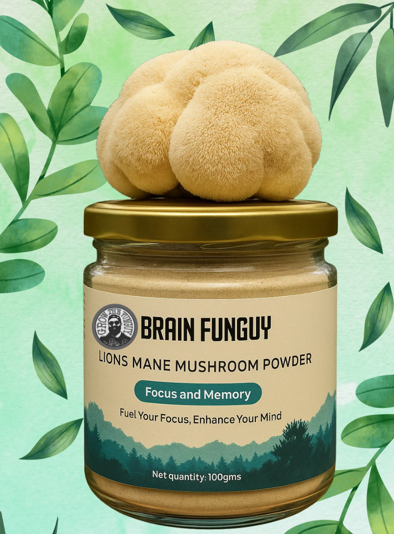 lions_mane mushroom powder
