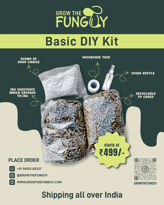 Starter Mushroom grow Kit - growthefunguy