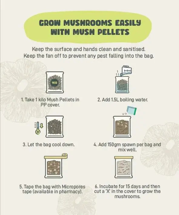 DIY-mushroom-growing-supplies growthefunguy
