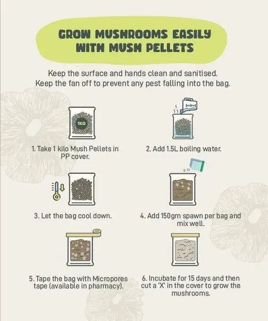 DIY-mushroom-growing-supplies growthefunguy