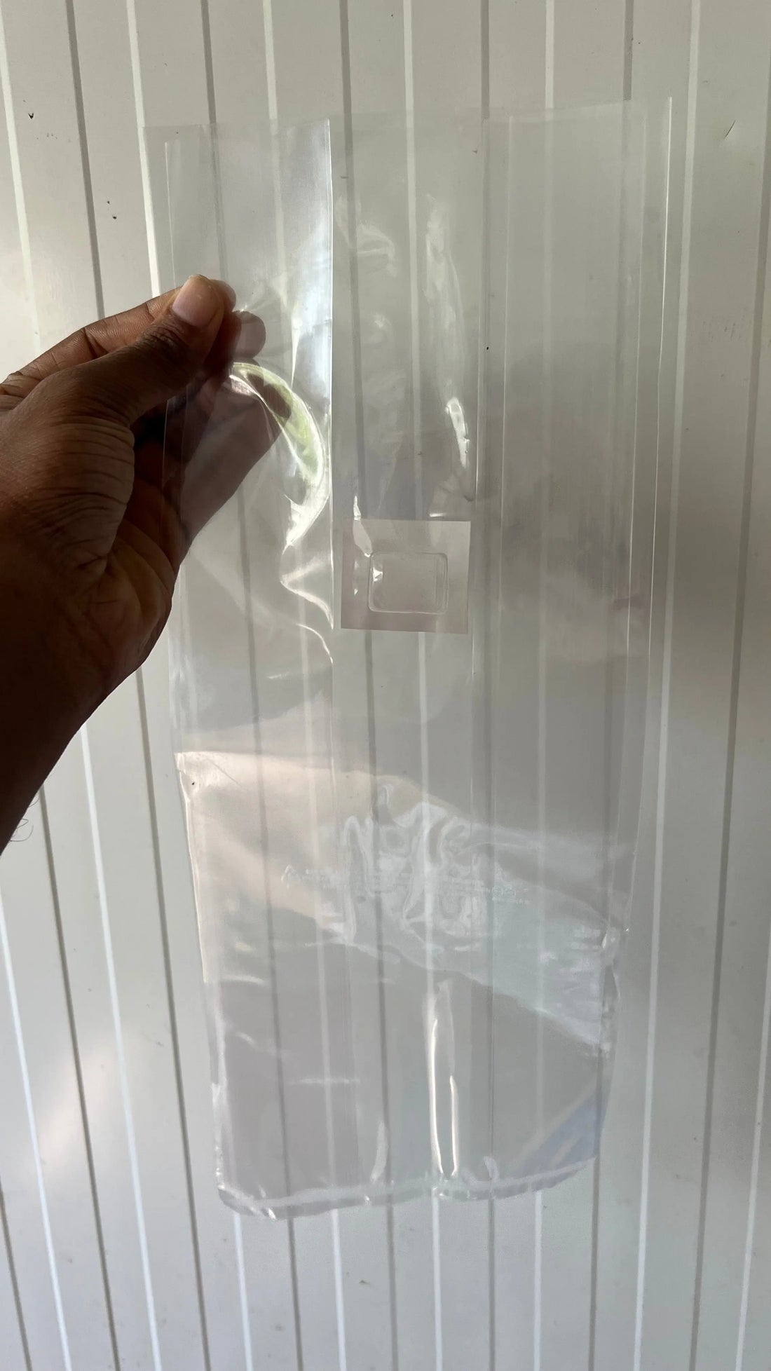 Sterilised-grain-bags-for-mushrooms growthefunguy