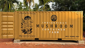 Mushroom Grow containers Room