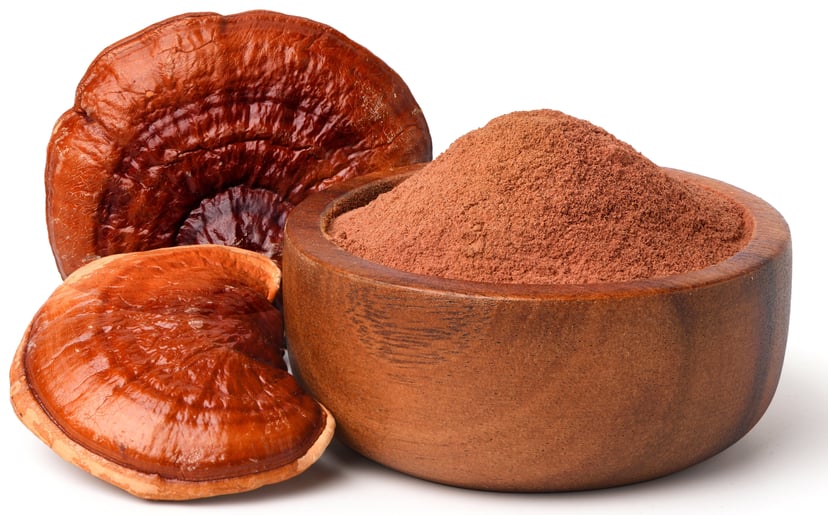 Reishi Mushroom Dry