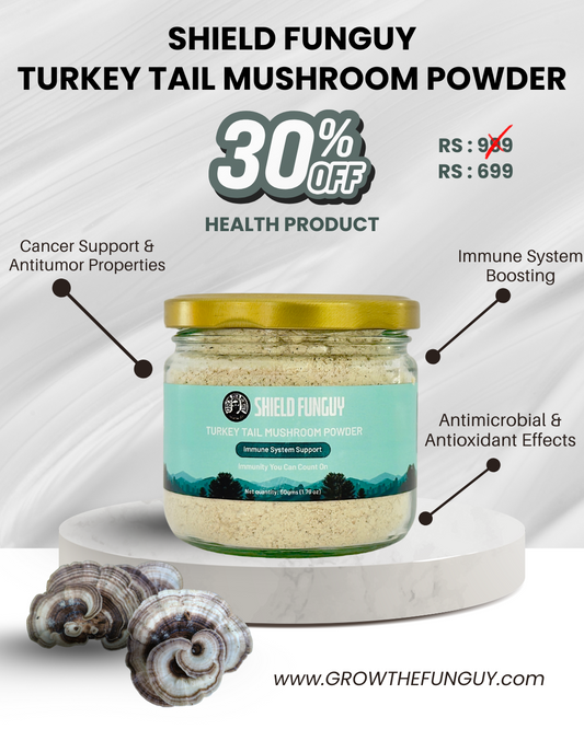 Shield Funguy Turkey Tail Mushroom Powder