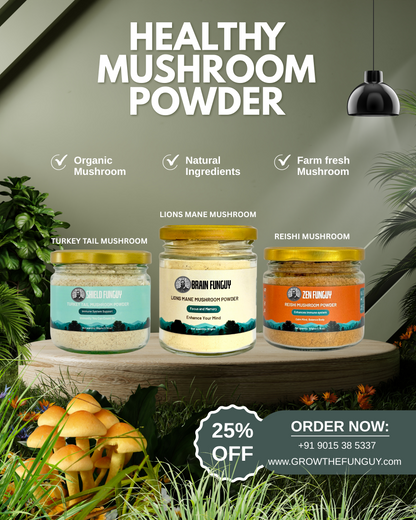 Healthy Mushroom Powder Collection