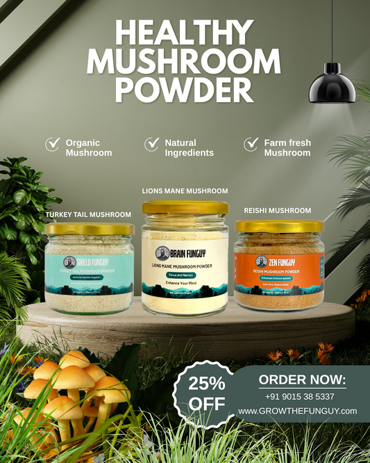 Healthy Mushroom Powder Collection