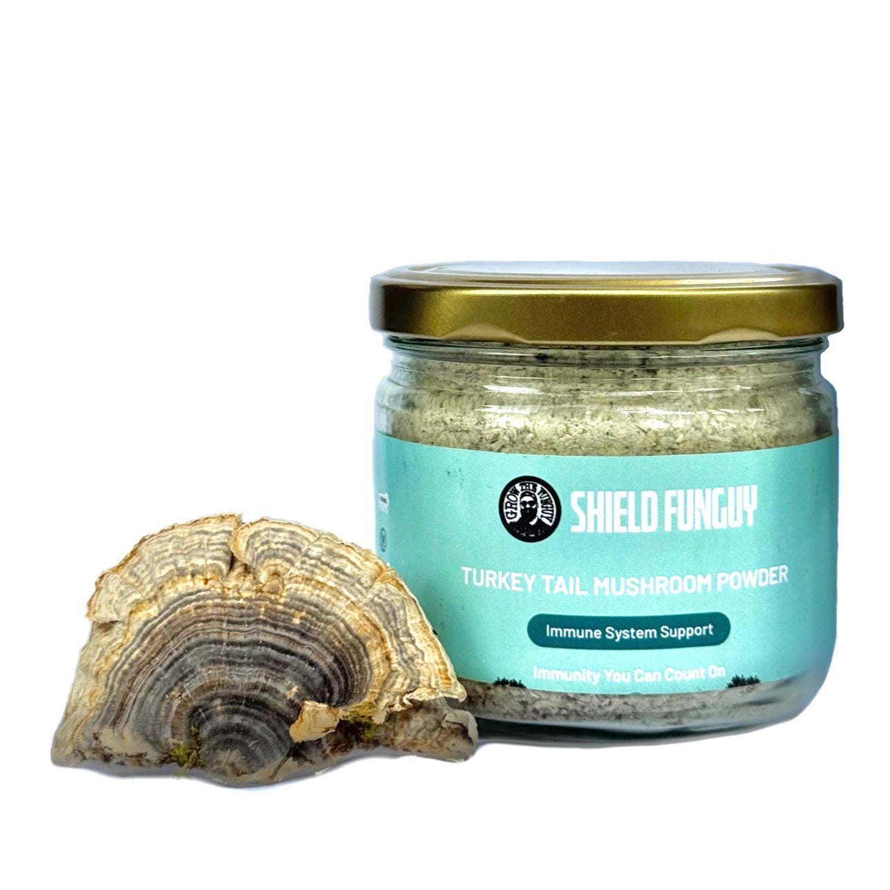Organic Turkey Tail Powder | Premium Quality, Immunity Superfood | Grown in India