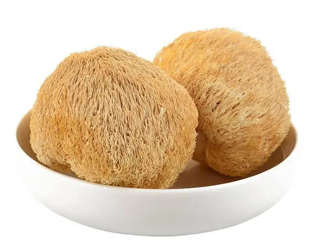 Lion’s mane Dry - 100% Fruit body 50gm (500gm Fresh) - growthefunguy