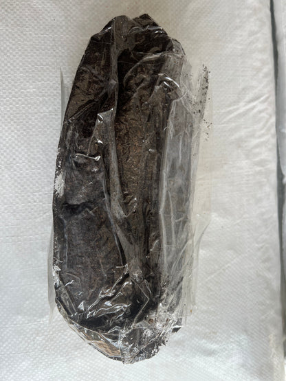 Casing Soil 1 KG ( a top layer applied to mushroom compost to trigger and regulate mushroom fruiting )