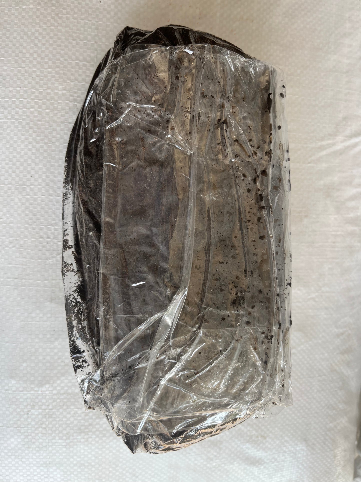 Casing Soil 1 KG ( a top layer applied to mushroom compost to trigger and regulate mushroom fruiting )
