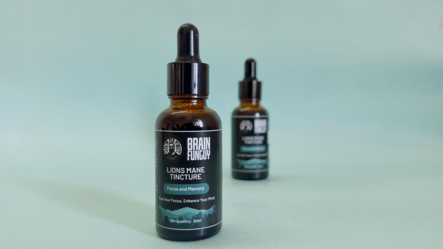 Lion’s Mane Extract