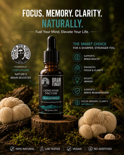 Lion’s Mane Extract
