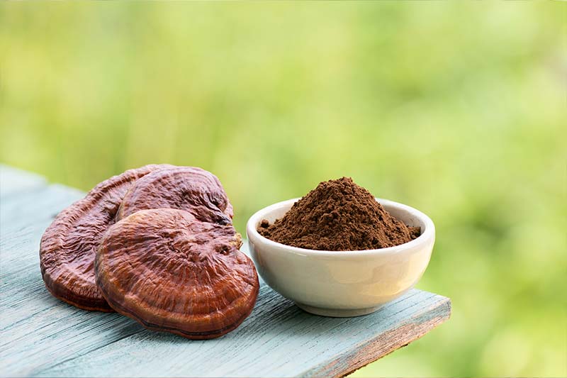 Reishi Mushroom Dry