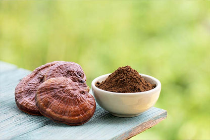 Reishi Mushroom Dry