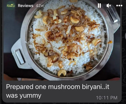 Organic Oyster Mushroom Growkit - growthefunguy