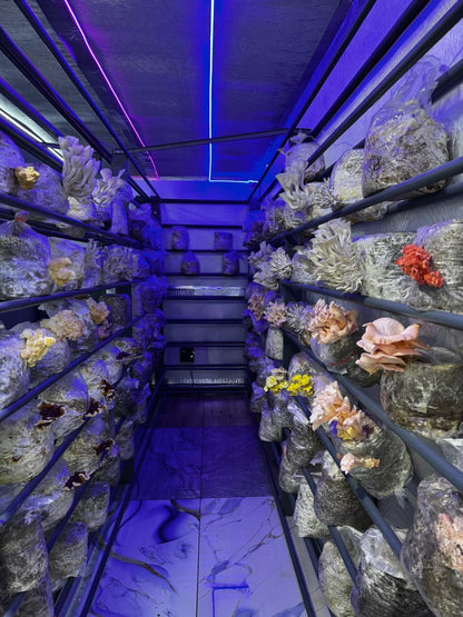 Fully Automated Mushroom Container Farm