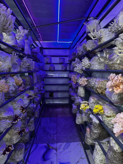 Fully Automated Mushroom Container Farm