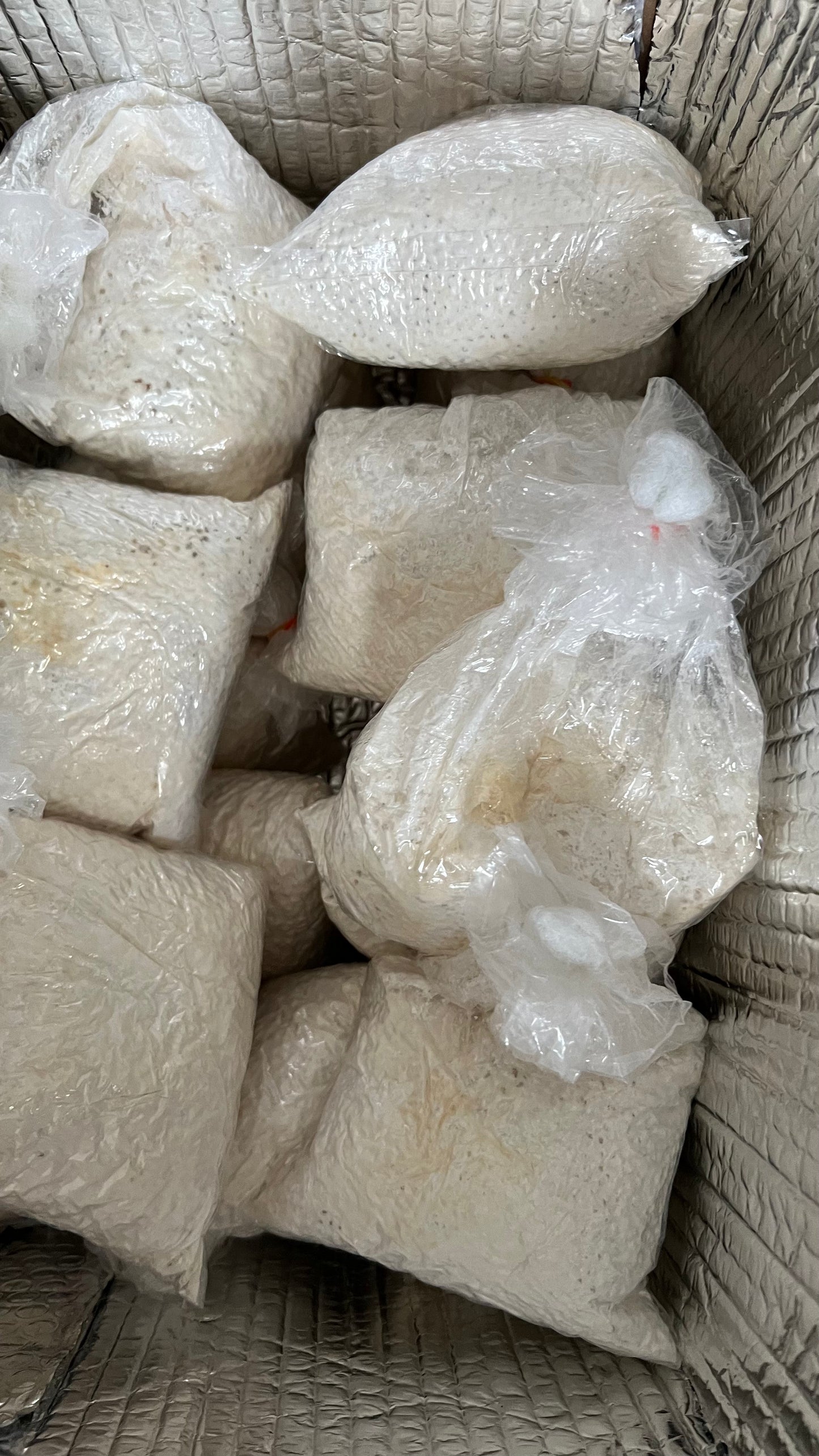 25 block Mushroom growing combo - Make 25 bags of 2.5KG each - growthefunguy