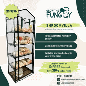 Mushroom Grow containers Room