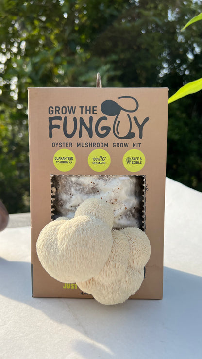 Lions mane growkit - fruiting at 18-22 degree Celsius - growthefunguy
