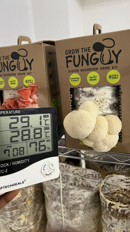 Premium Mushroom culture - growthefunguy