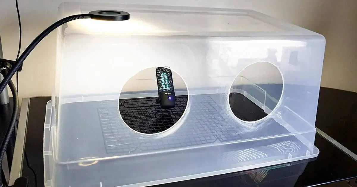SAB - Still Air Box - growthefunguy